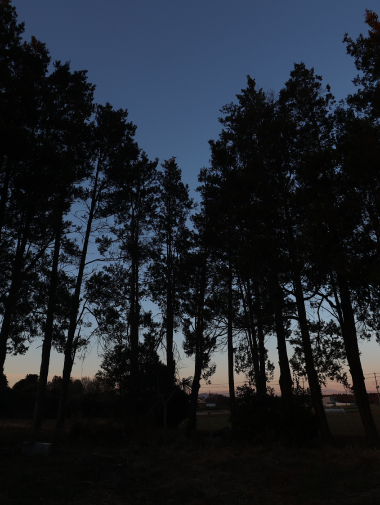 夜になる前の美しい空